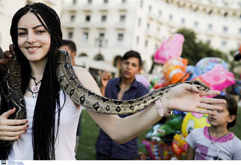 Τολμηρή Θεσσαλονικιά έβγαλε βόλτα τον... βόα της στην πλατεία Αριστοτέλους [εικόνες] | iefimerida.gr 0