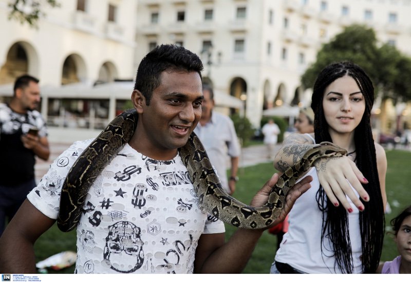 Τολμηρή Θεσσαλονικιά έβγαλε βόλτα τον... βόα της στην πλατεία Αριστοτέλους [εικόνες] | iefimerida.gr 4