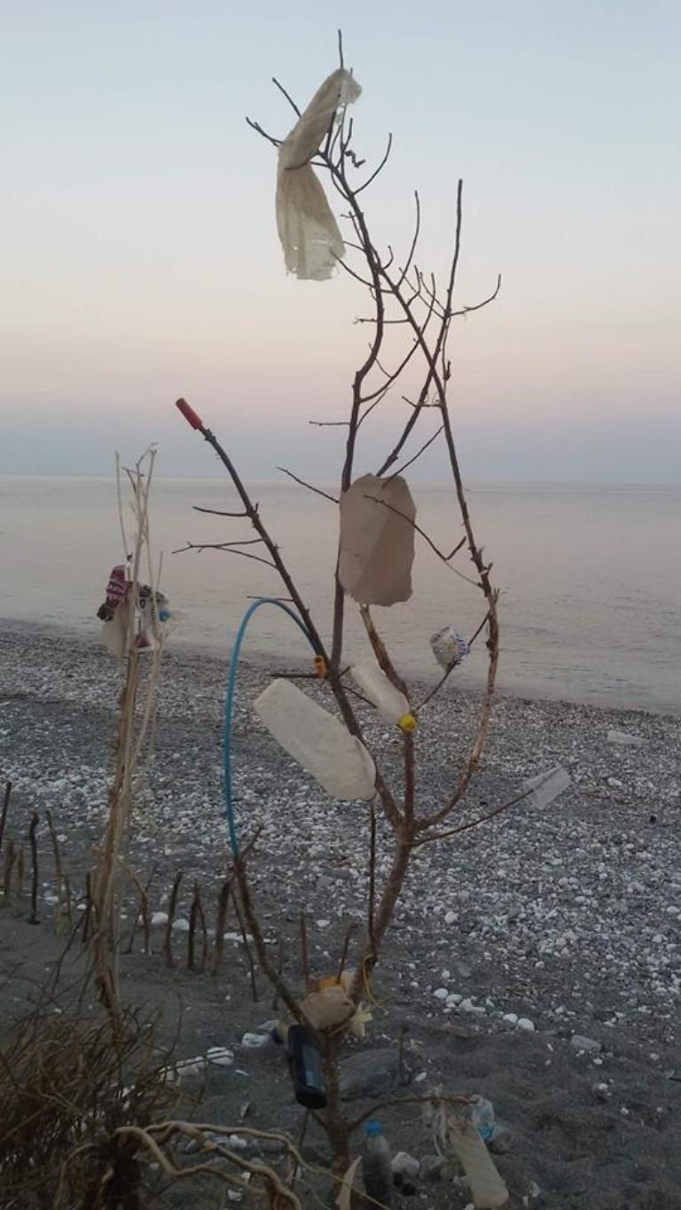 Δέντρα στολισμένα με σκουπίδια