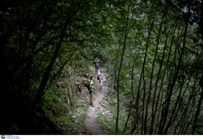 Πεζοπορία στο φαράγγι του Βίκου -Το βαθύτερο του κόσμου σύμφωνα με το Γκίνες [εικόνες] | iefimerida.gr 9