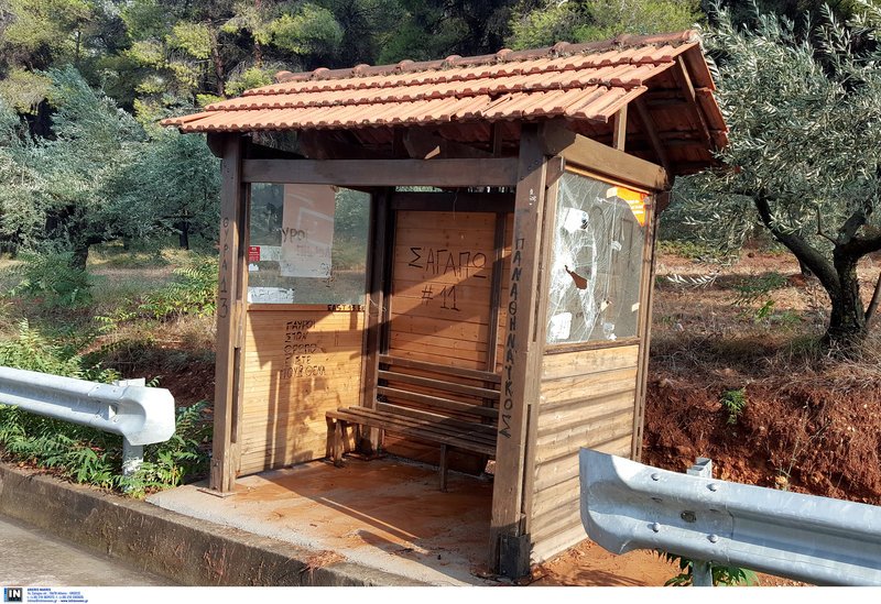 Αποκαταστάθηκε η κυκλοφορία στην εθνική οδό Αθηνών-Λαμίας- Μετανάστες είχαν κάνει μπλόκο στα διόδια [εικόνες] | iefimerida.gr 3