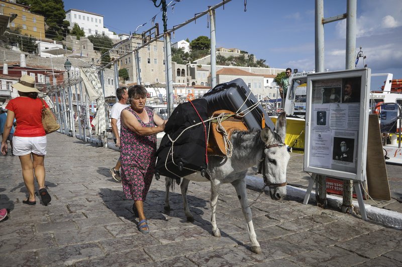Τα γαϊδρουράκι στο αγώι