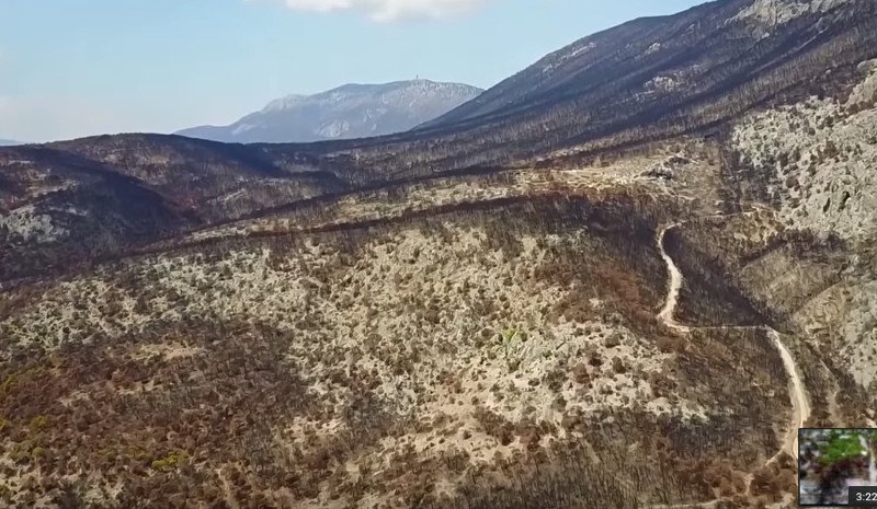 Αποκαρδιωτικό: Ετσι είναι σήμερα η Κινέτα, μετά την πυρκαγιά- Ενα μαύρο τοπίο [βίντεο] | iefimerida.gr 0
