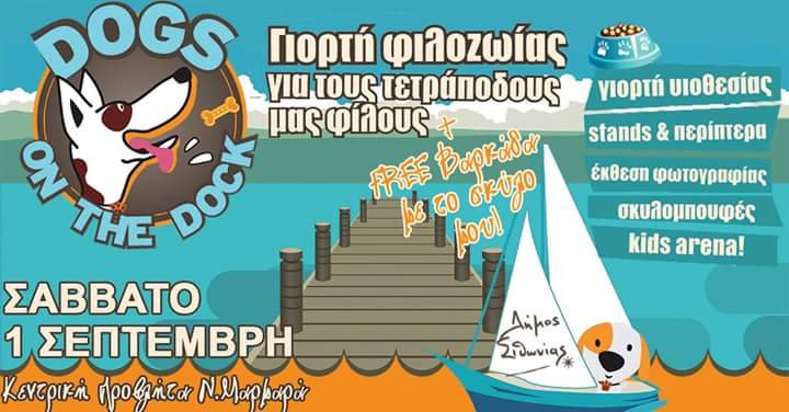 Στη Θεσσαλονίκη δημιούργησαν το Doggo: Το πρώτο facebook για σκύλους! | iefimerida.gr 1