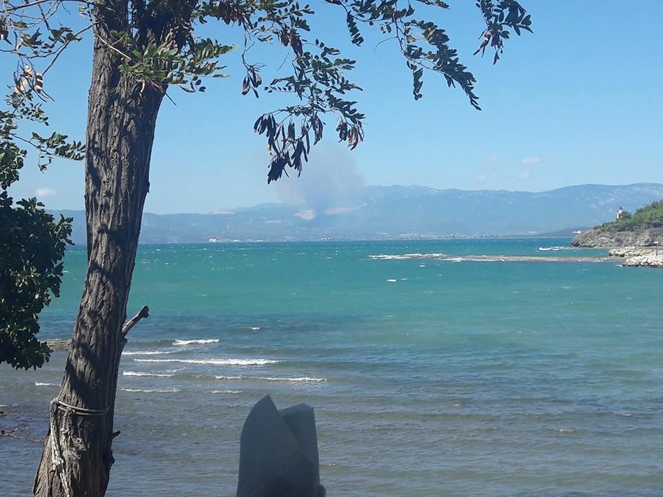 Ολονύχτια μάχη με τις φλόγες στην Εύβοια -Εκκενώθηκαν χωριά [εικόνες & βίντεο] | iefimerida.gr 4