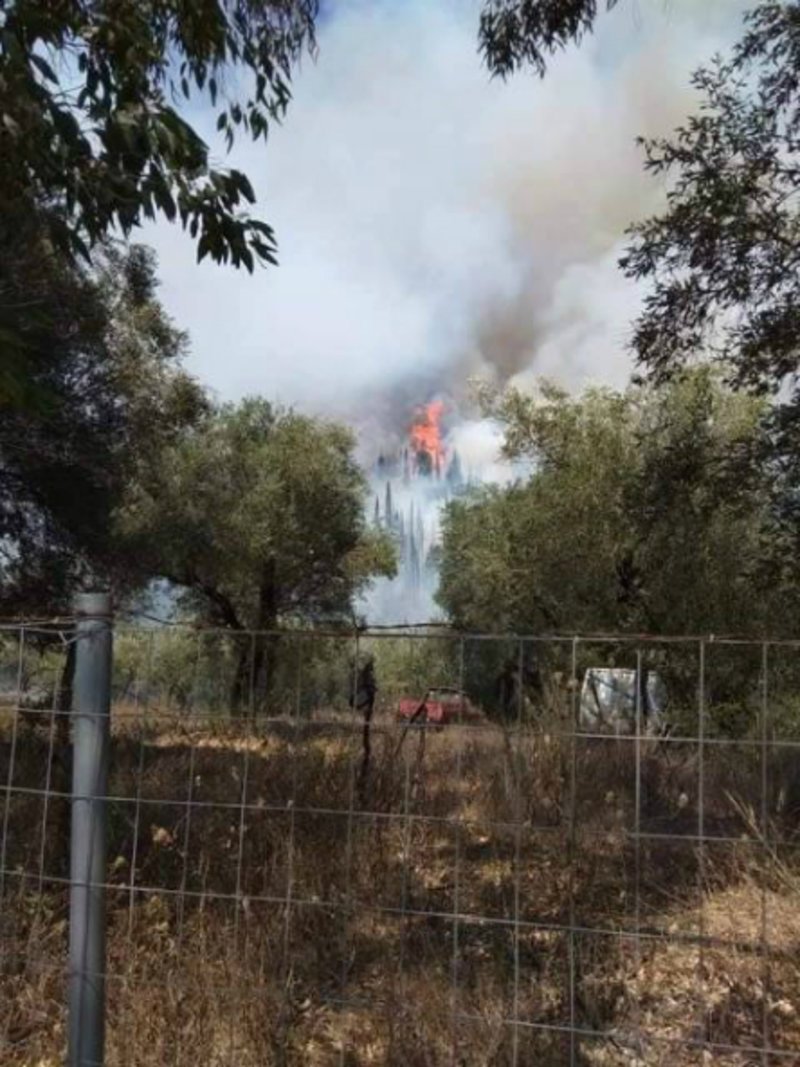 Υπό έλεγχο η φωτιά στην Κέρκυρα -Εκκενώθηκε προληπτικά το χωριό Ραχτάδες [εικόνες] | iefimerida.gr 1