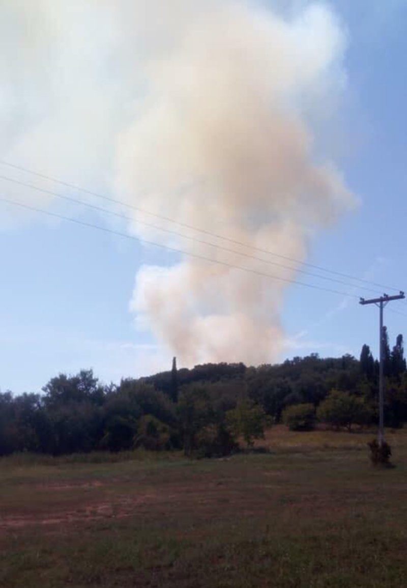 Υπό έλεγχο η φωτιά στην Κέρκυρα -Εκκενώθηκε προληπτικά το χωριό Ραχτάδες [εικόνες] | iefimerida.gr 2
