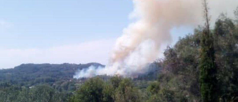 Υπό έλεγχο η φωτιά στην Κέρκυρα -Εκκενώθηκε προληπτικά το χωριό Ραχτάδες [εικόνες] | iefimerida.gr 3