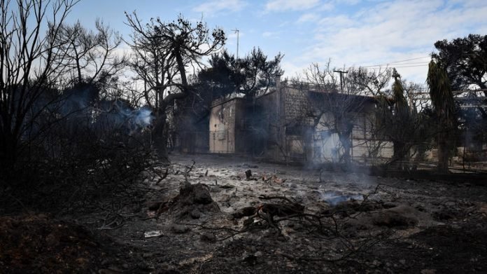 Δασική έκταση του Δημοσίου που καταπατήθηκε είναι το οικόπεδο που βρέθηκαν οι 27 νεκροί | iefimerida.gr 0