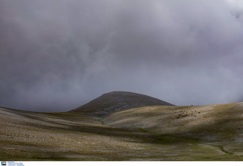 Τα πανέμορφα άγρια άλογα του Ολύμπου -Οι απόγονοι του Βουκεφάλα καλπάζουν ελεύθεροι και μαγεύουν τους επισκέπτες [εικόνες] | iefimerida.gr 8