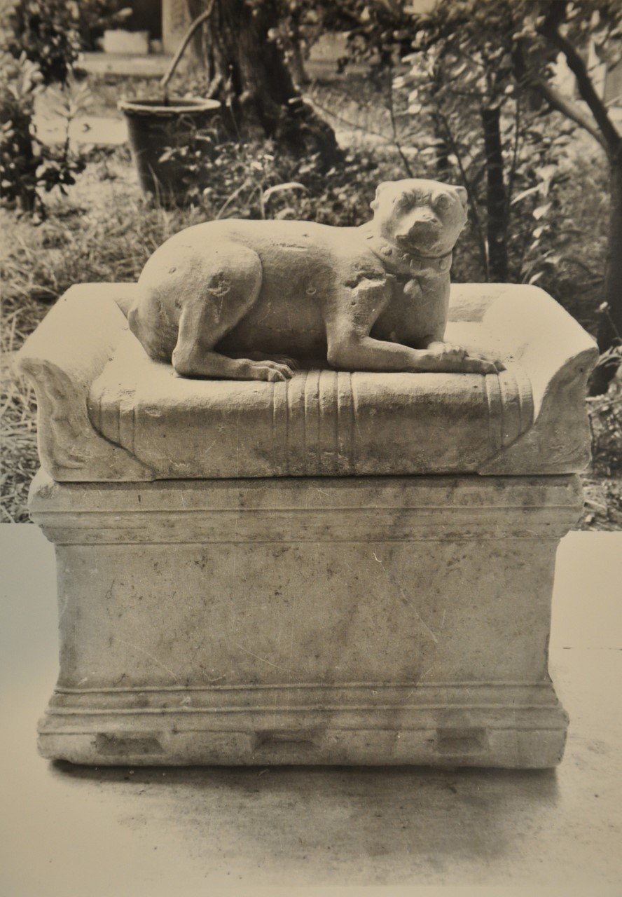 Βρέθηκε το 1937 στον Εθνικό Κήπο