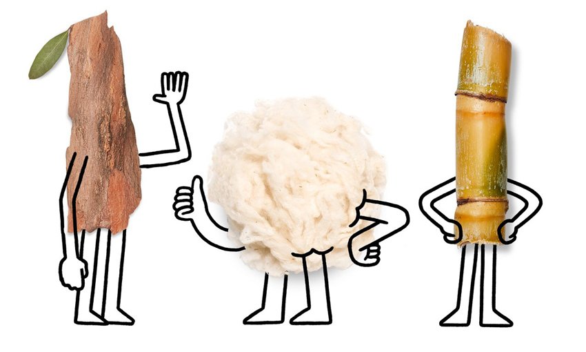 Ο επενδυτής Ντι Κάπριο -Ποντάρει σε παπούτσια από δέντρα και ανακυκλωμένα χαρτόνια [βίντεο]  | iefimerida.gr 2