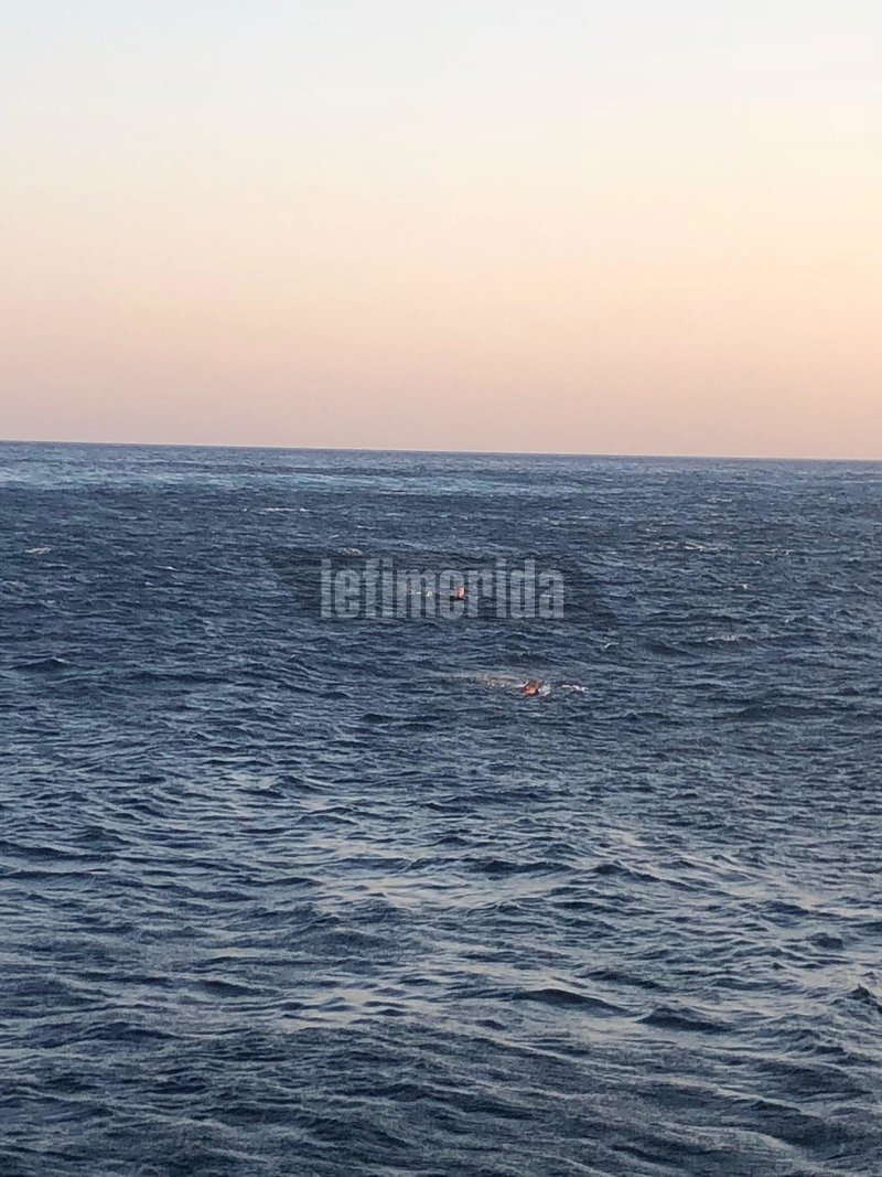 Τήνος: Ανδρας έπεσε από το πλοίο στη θάλασσα με το σκύλο του -Τους έσωσαν λιμενικοί [βίντεο] | iefimerida.gr 4
