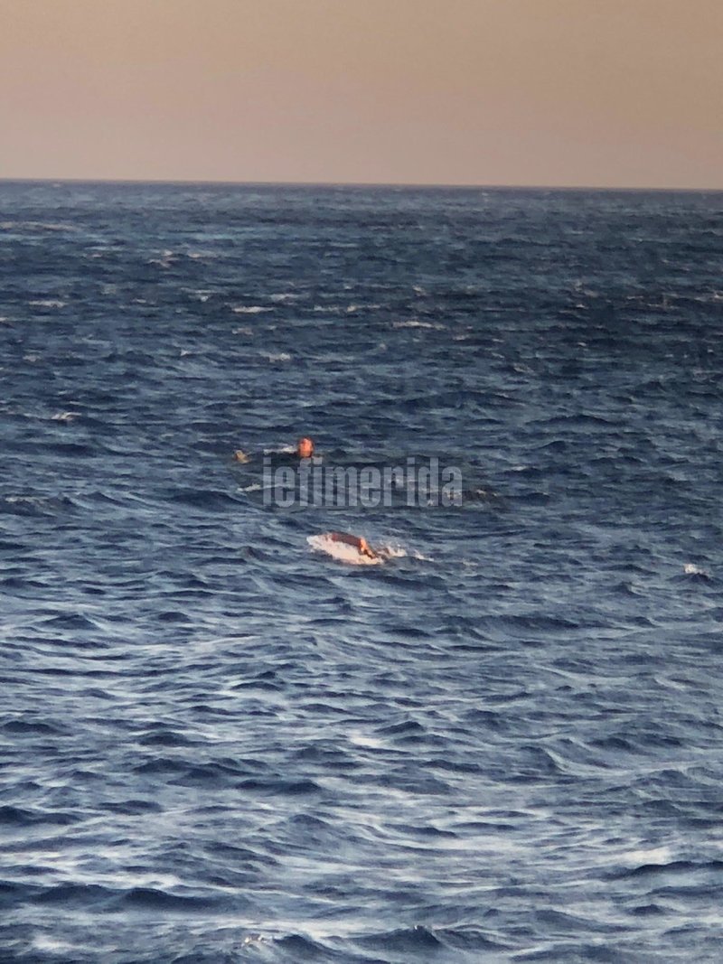 Τήνος: Ανδρας έπεσε από το πλοίο στη θάλασσα με το σκύλο του -Τους έσωσαν λιμενικοί [βίντεο] | iefimerida.gr 0