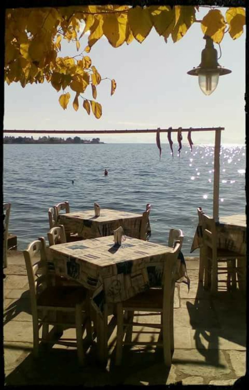 Τα τσιπουράδικα του Βόλου: Ο επίγειος παράδεισος του Αριστοτέλη Ωνάση και της Σοφία Λόρεν [εικόνες] | iefimerida.gr 2