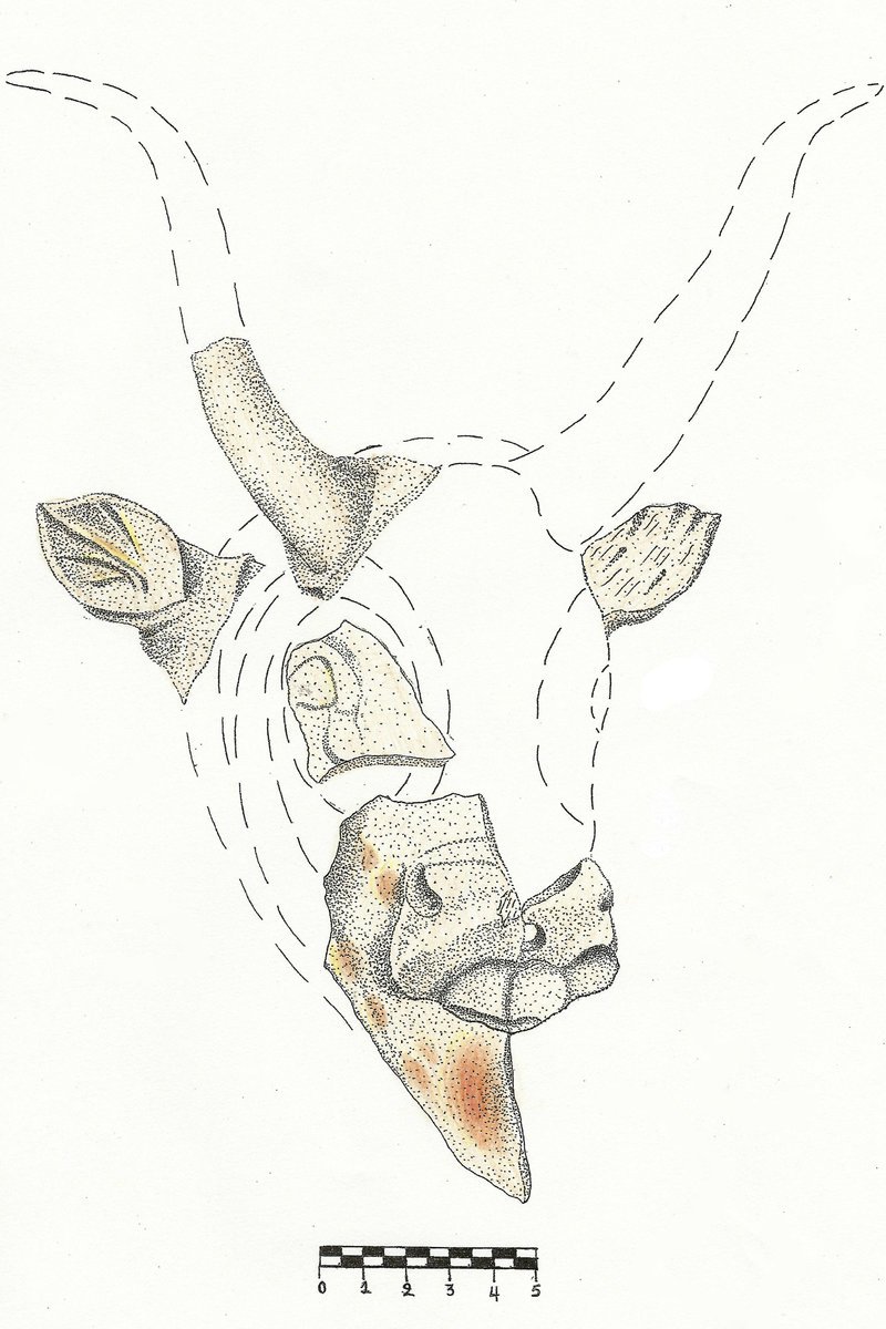 Κρήτη: Στο φως νέα μυστικά του ανακτορικού κέντρου της Ζωμίνθου [εικόνες] | iefimerida.gr 5