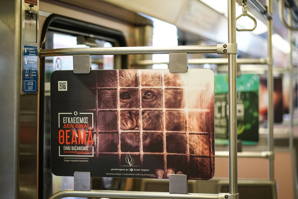«Δες ποιον έφαγες σήμερα» -«Σκοτωμός» για την καμπάνια των Vegan στο Μετρό [εικόνες] | iefimerida.gr 6