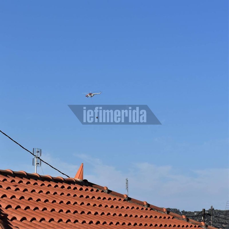 Φωτιά σε αγροτική περιοχή στη Μόρια -Σε απόσταση 1 χλμ. από το hot spot [εικόνες & βίντεο] | iefimerida.gr 3