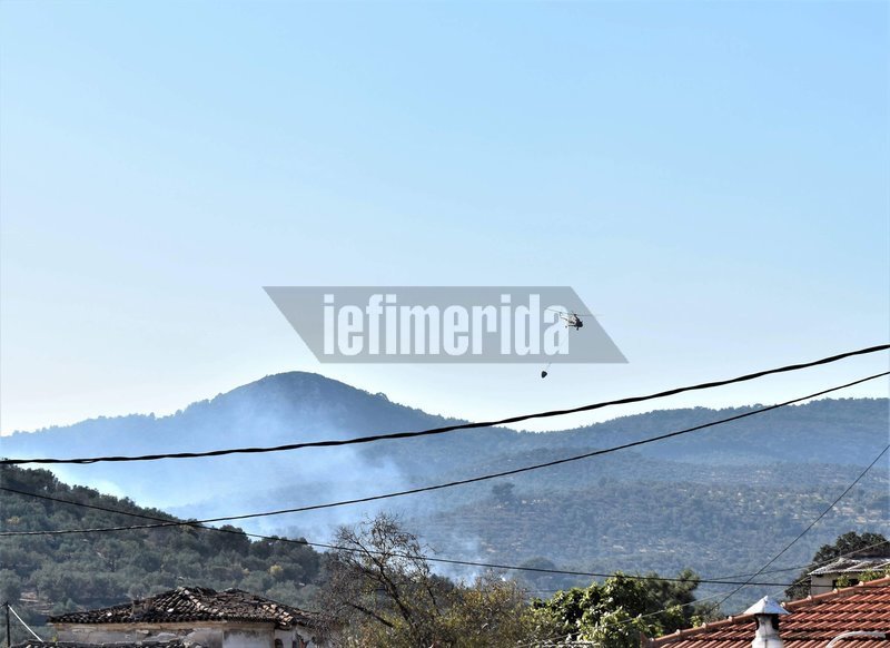 Φωτιά σε αγροτική περιοχή στη Μόρια -Σε απόσταση 1 χλμ. από το hot spot [εικόνες & βίντεο] | iefimerida.gr 0