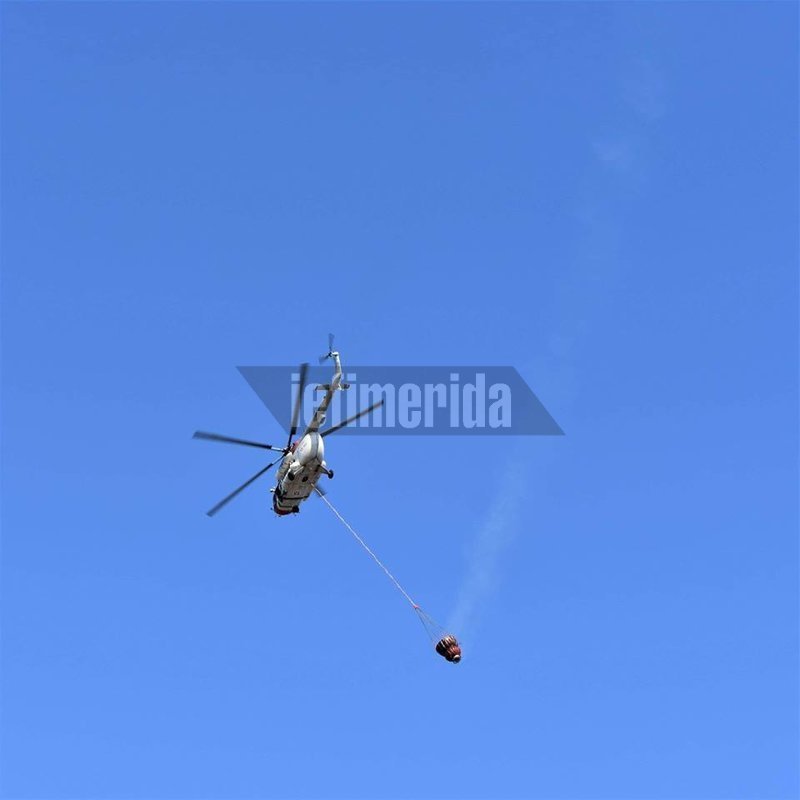 Φωτιά σε αγροτική περιοχή στη Μόρια -Σε απόσταση 1 χλμ. από το hot spot [εικόνες & βίντεο] | iefimerida.gr 8