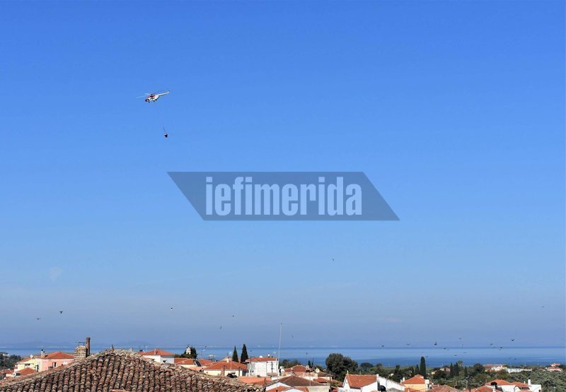 Φωτιά σε αγροτική περιοχή στη Μόρια -Σε απόσταση 1 χλμ. από το hot spot [εικόνες & βίντεο] | iefimerida.gr 6