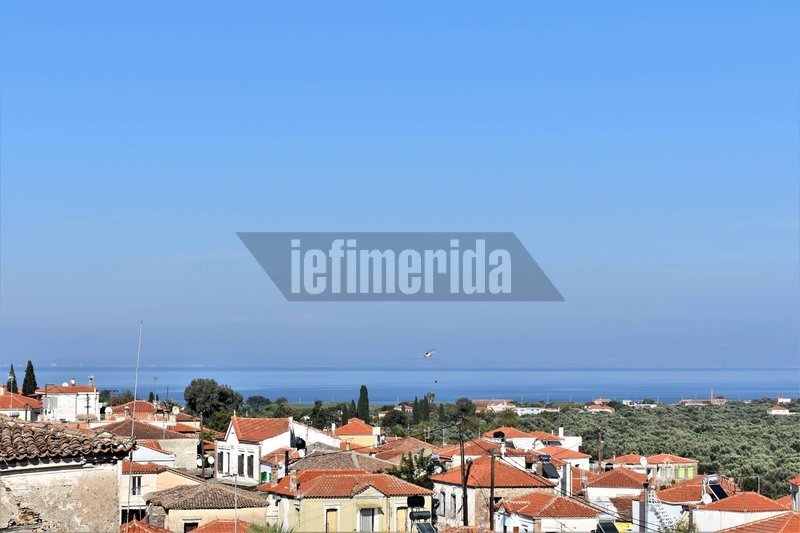 Φωτιά σε αγροτική περιοχή στη Μόρια -Σε απόσταση 1 χλμ. από το hot spot [εικόνες & βίντεο] | iefimerida.gr 1