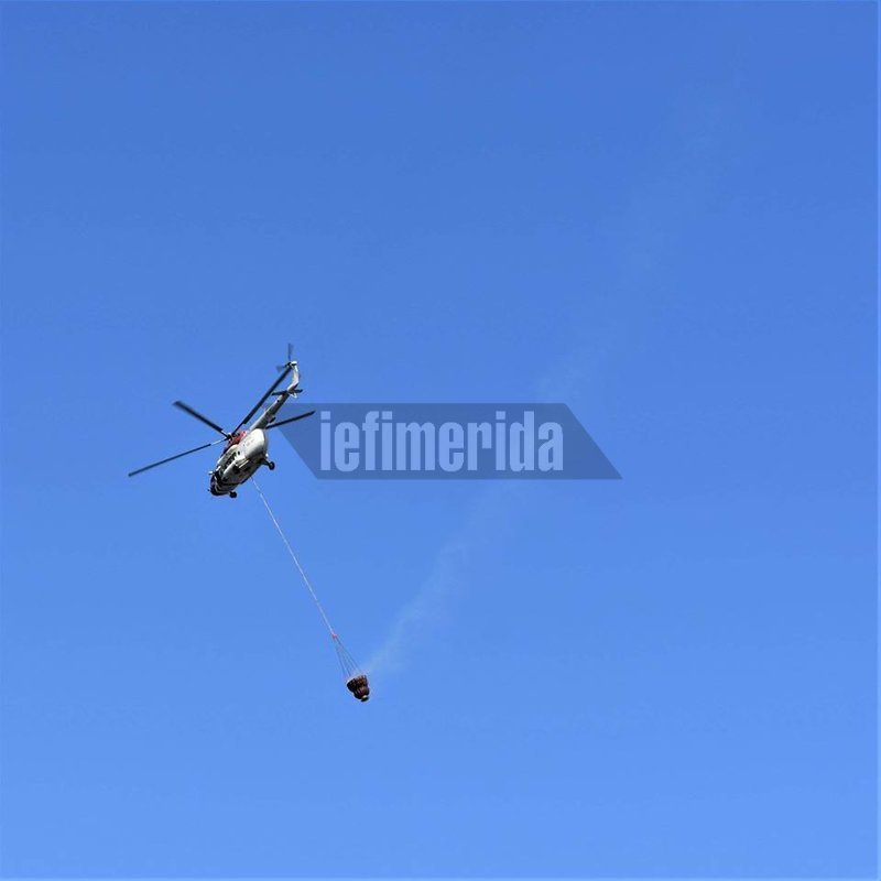 Φωτιά σε αγροτική περιοχή στη Μόρια -Σε απόσταση 1 χλμ. από το hot spot [εικόνες & βίντεο] | iefimerida.gr 4