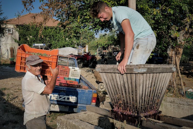 Μία κουραστική αλλά και διασκεδαστική διαδικασία για όλες τις ηλικίες