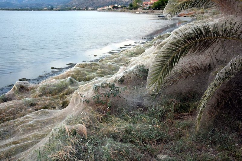 Περίεργο φαινόμενο της φύσης