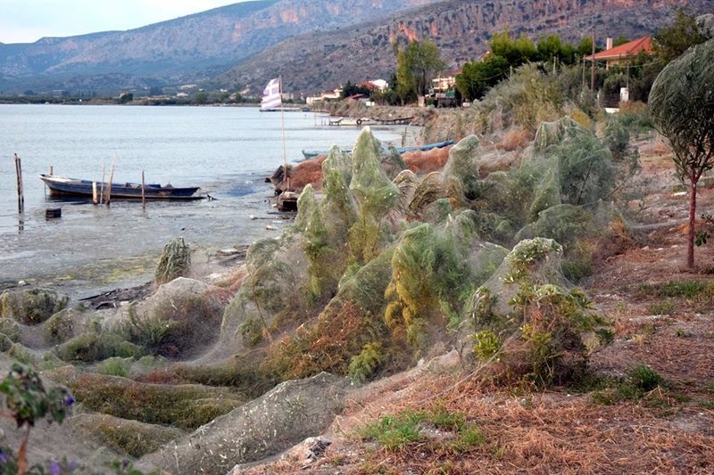 Οι φωτογραφίες έχουν ληφθεί με χαμηλό φωτισμό