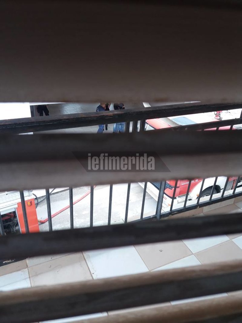 Οικογενειακή τραγωδία στο Αργος: Σκότωσε την 10χρονη αδελφή του και αυτοκτόνησε [αποκλειστικές εικόνες & βίντεο] | iefimerida.gr 1