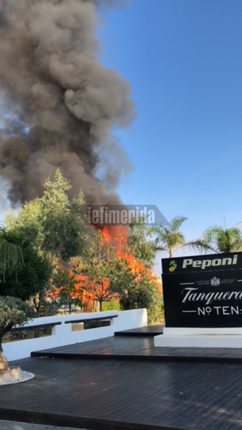Ξέσπασε φωτιά σε beach bar στους Αμμόλοφους Καβάλας -Αποκλειστικές εικόνες & βίντεο] | iefimerida.gr 1