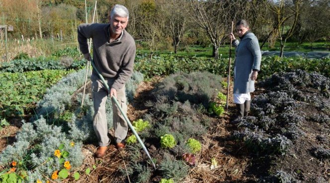 Απίστευτοι αγρότες στη Γαλλία -Κάνουν αυτό που στην Ελλάδα είναι άγνωστο [εικόνες] | iefimerida.gr 5