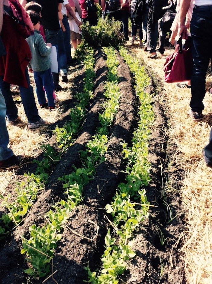 Απίστευτοι αγρότες στη Γαλλία -Κάνουν αυτό που στην Ελλάδα είναι άγνωστο [εικόνες] | iefimerida.gr 8