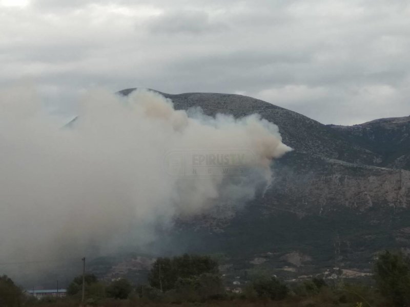 Ηπειρος: Επί ποδός η Πυροσβεστική -Ξέσπασαν πολλές φωτιές λόγω ανέμων [εικόνες] | iefimerida.gr 0