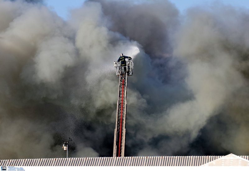 Μεγάλες καταστροφές από τη φωτιά στο Πανεπιστήμιο Κρήτης [εικόνες & βίντεο] | iefimerida.gr 2
