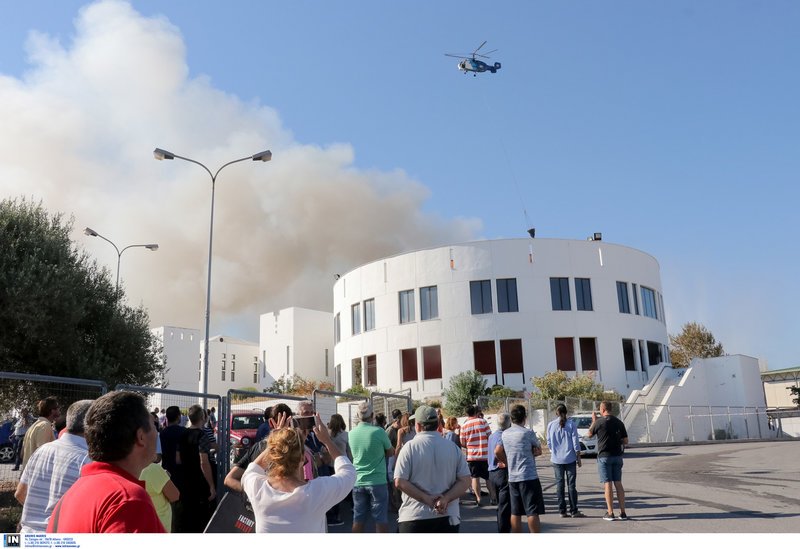 Μεγάλες καταστροφές από τη φωτιά στο Πανεπιστήμιο Κρήτης [εικόνες & βίντεο] | iefimerida.gr 8