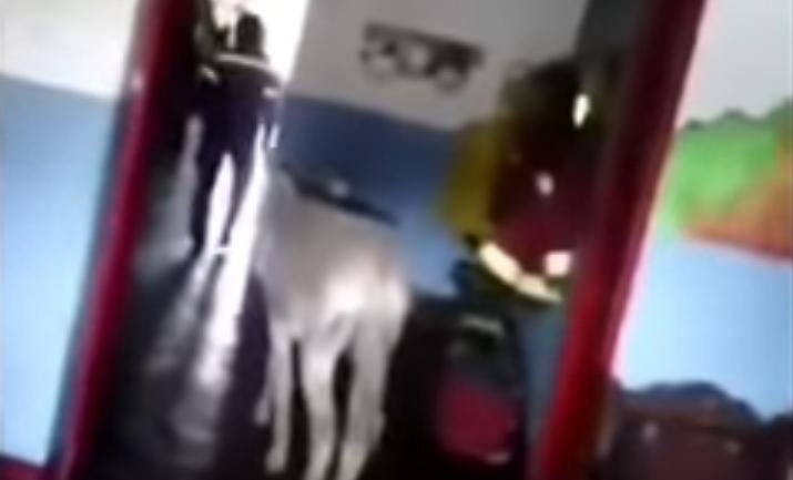 Βενεζουέλα: Εως και 20 χρόνια φυλακή σε δύο πυροσβέστες που παρομοίασαν τον Μαδούρο με... γάιδαρο [βίντεο]  | iefimerida.gr 0