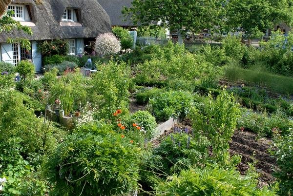 Απίστευτοι αγρότες στη Γαλλία -Κάνουν αυτό που στην Ελλάδα είναι άγνωστο [εικόνες] | iefimerida.gr 9