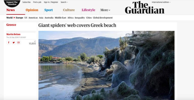 Τεράστιος ιστός από αράχνες καλύπτει ελληνική παραλία»
