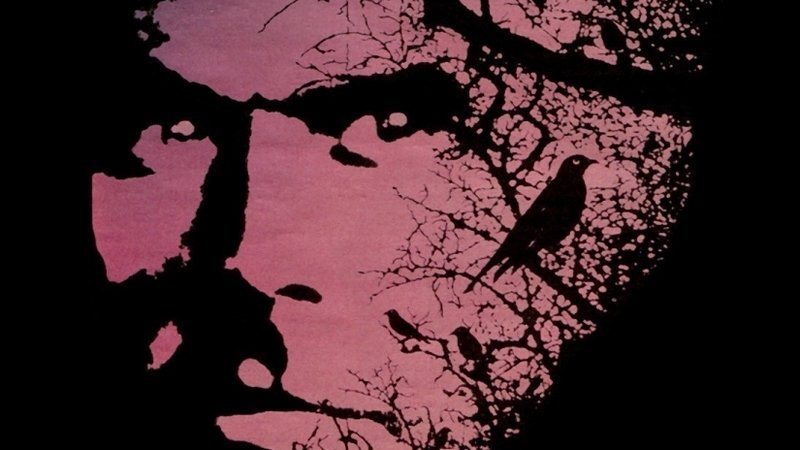 «Σκοτεινό Μισό» του Στίβεν Κινγκ ή Γιατί είναι επικίνδυνο να γράφεις με ψευδώνυμο | iefimerida.gr 3