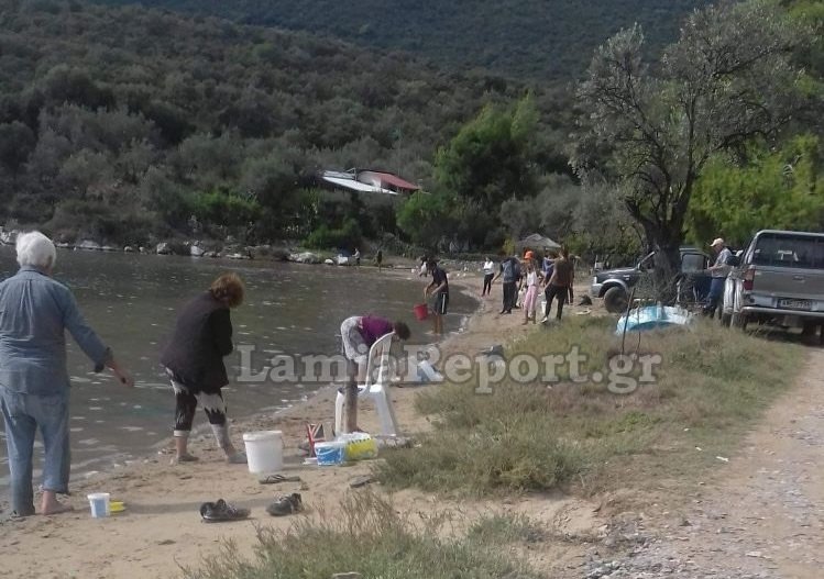 Πώς ξαφνικά μετά την κακοκαιρία γέμισε τσιπούρες η Εύβοια -Απίστευτα σκηνικά με ψαράδες [εικόνες] | iefimerida.gr 0