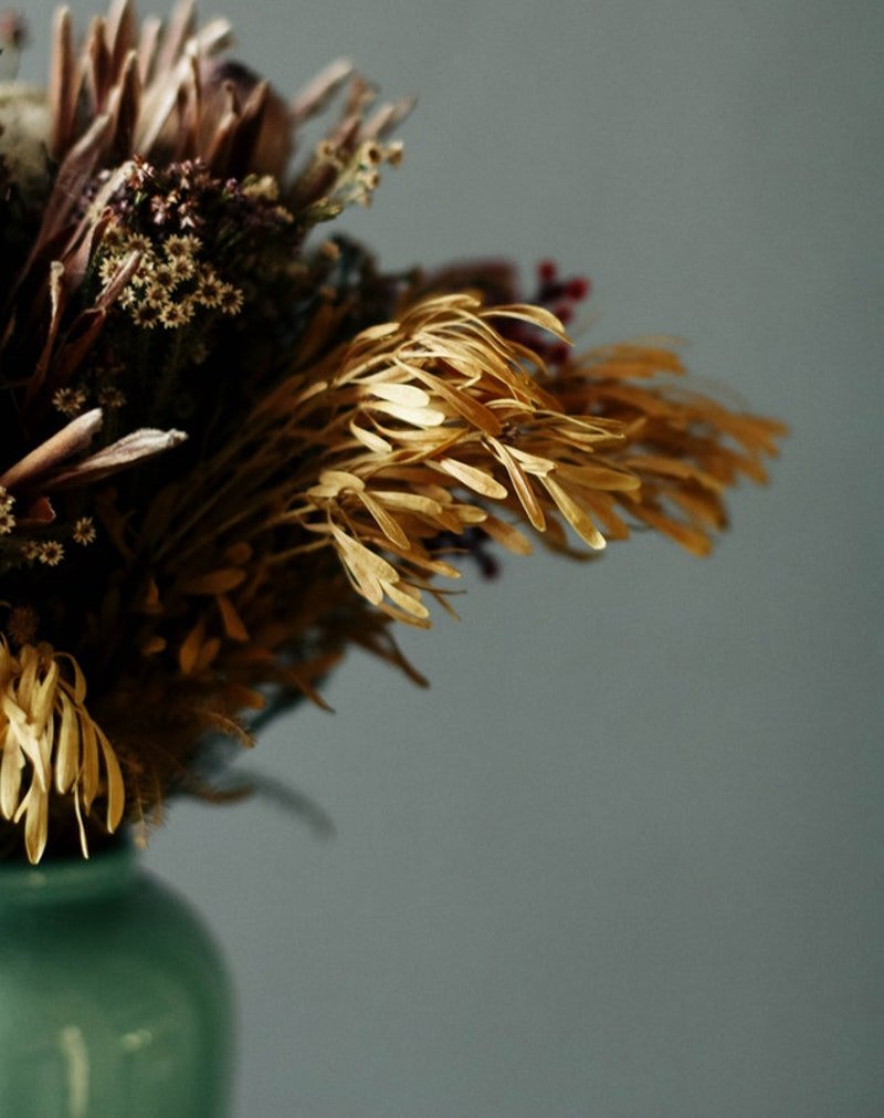 Ο παράξενος λόγος που απαγορεύεται να έχουμε αποξηραμένα λουλούδια στο σπίτι [εικόνες] | iefimerida.gr 0