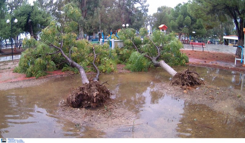 Εικόνες καταστροφής από το πέρασμα της κακοκαιρίας σε όλη τη χώρα -3 αγνοούμενοι [εικόνες & βίντεο] | iefimerida.gr 9