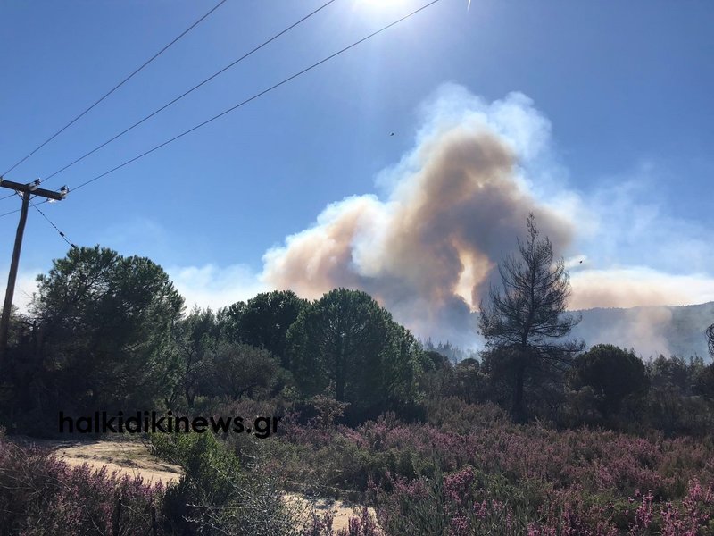 Ανεξέλεγκτη η πυρκαγιά στη Σιθωνία Χαλκιδικής -3 χλμ. μέτωπο φωτιάς [εικόνες & βίντεο] | iefimerida.gr 12