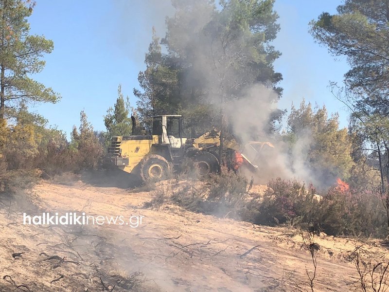 Ανεξέλεγκτη η πυρκαγιά στη Σιθωνία Χαλκιδικής -3 χλμ. μέτωπο φωτιάς [εικόνες & βίντεο] | iefimerida.gr 11
