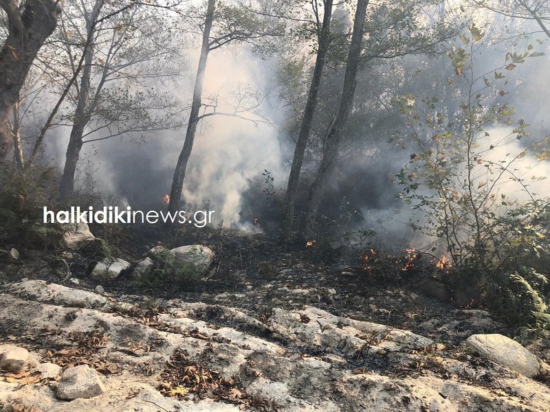 Ανεξέλεγκτη η πυρκαγιά στη Σιθωνία Χαλκιδικής -3 χλμ. μέτωπο φωτιάς [εικόνες & βίντεο] | iefimerida.gr 3