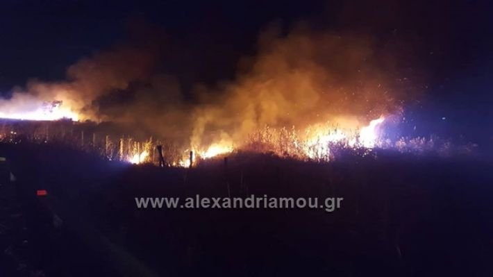 Φωτιά στην Ημαθία