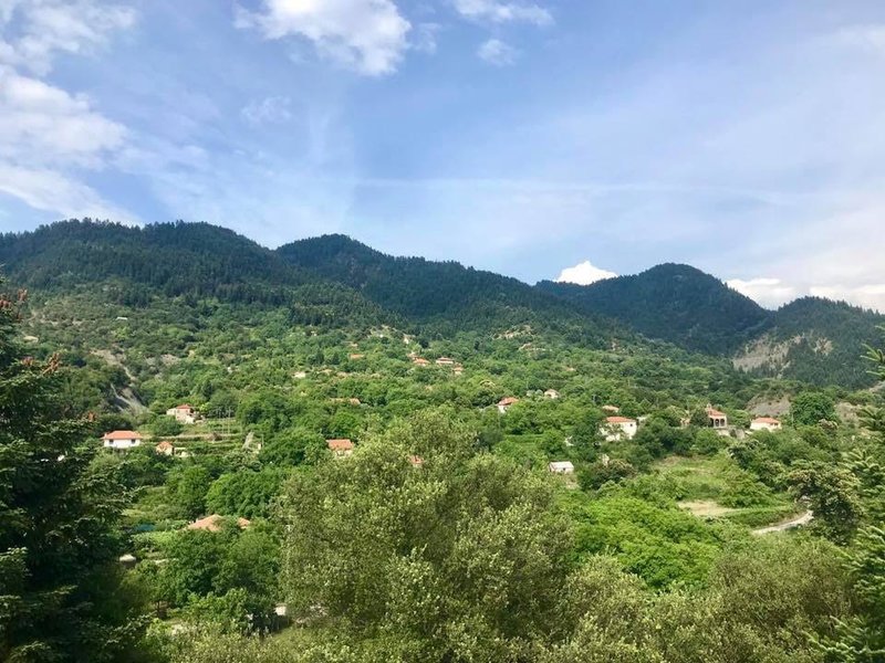 Η Καστανιά είναι ένα ορεινό χωριό του νομού Άρτας, χωριό που ανήκει στην ευρύτερη περιοχή της Κοιλάδας του Αχελώου.