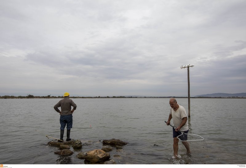 Απόχη και πολύ υπομονή θέλει ο εντοπισμός των καβουριών